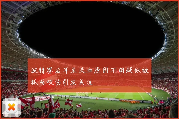 波特赛后耳朵流血原因不明疑似被抓或咬伤引发关注